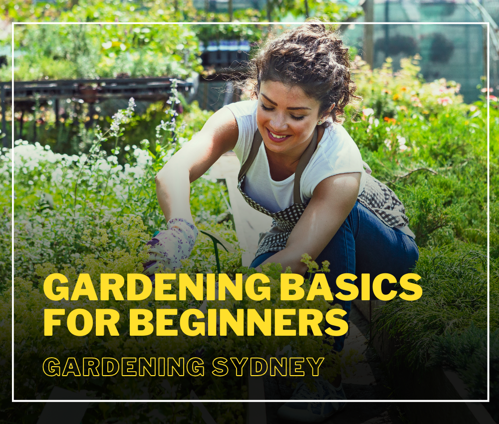 Gardening Basics for Beginners