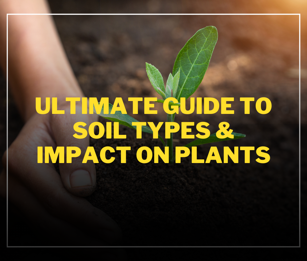 Ultimate Guide to Soil Types and Impact on Plants
