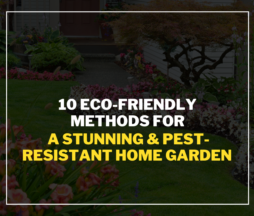 Eco-Friendly Methods for a Stunning and Pest-Resistant Home Garden