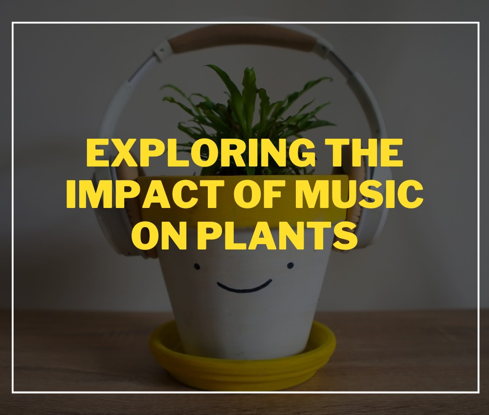 Exploring the Impact of Music on Plants