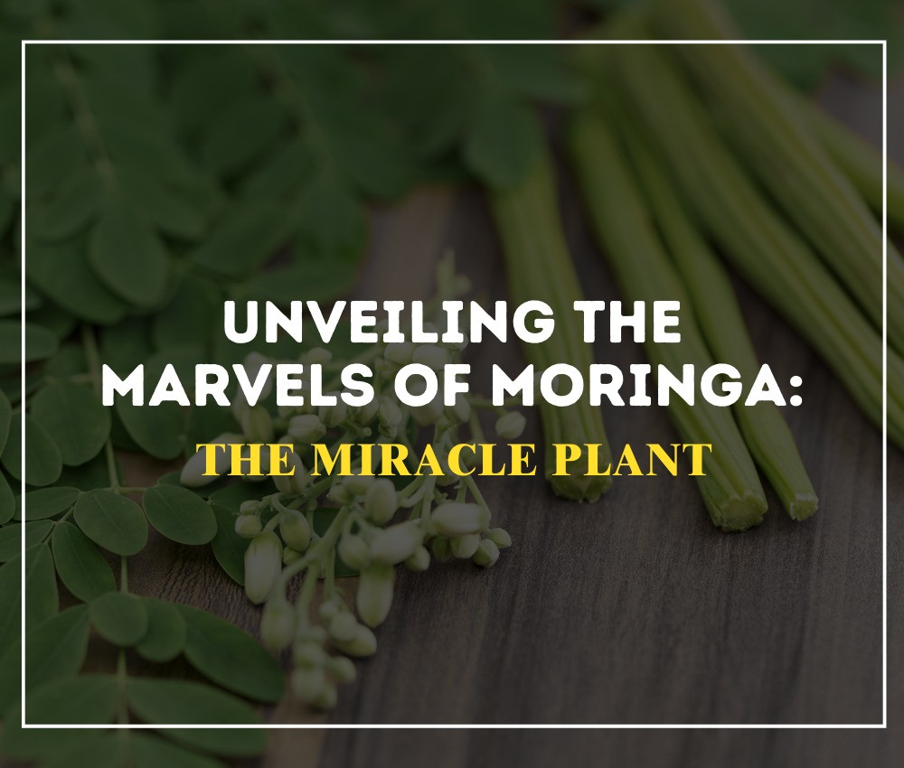 Unveiling the Marvels of Moringa