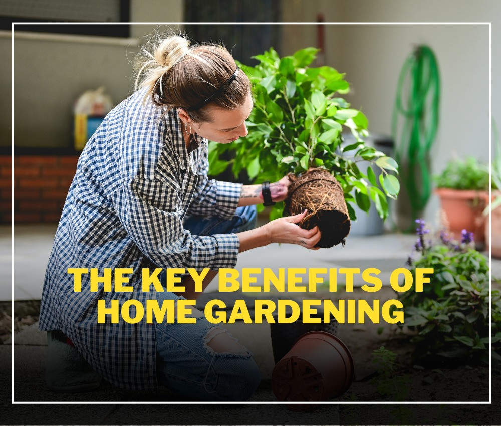 The Key Benefits of Home Gardening