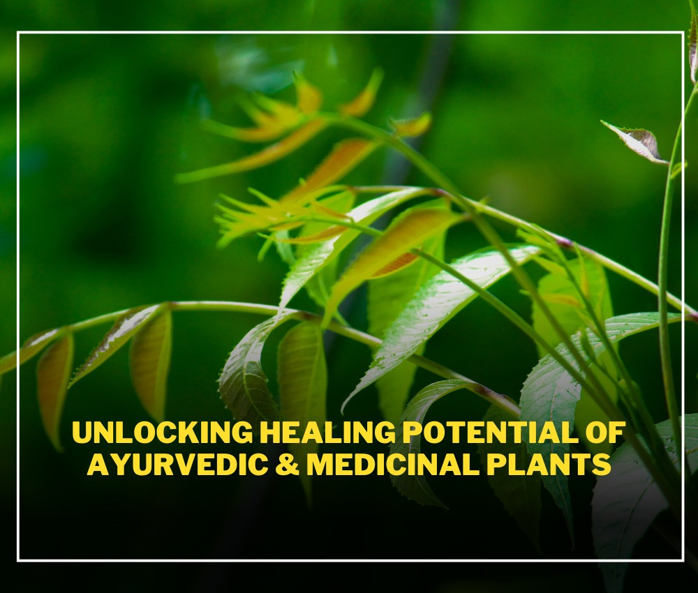 Unlocking Healing Potential of Ayurvedic & Medicinal Plants