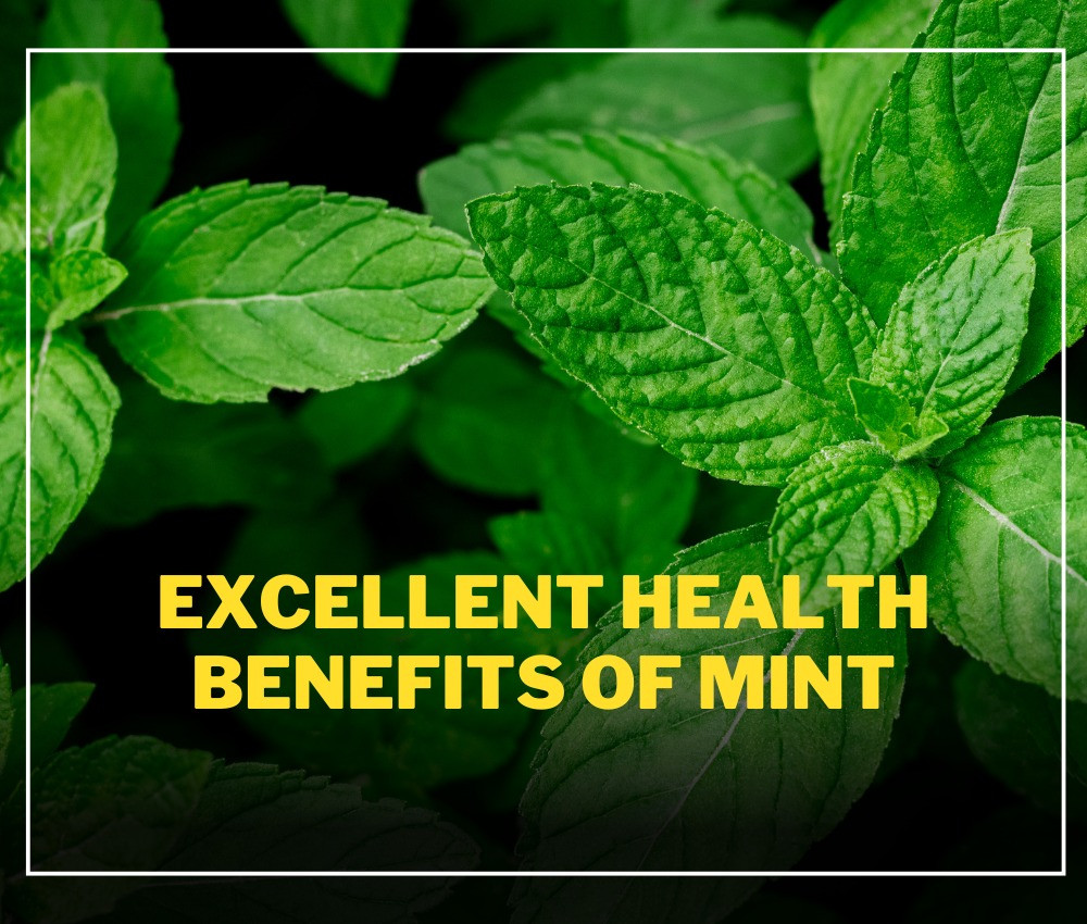 Excellent Health Benefits of Mint