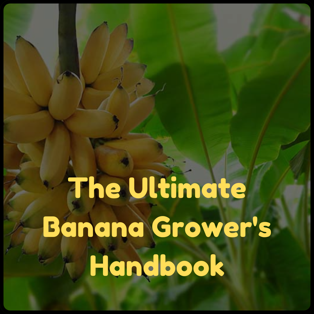 The Ultimate Banana Grower's Handbook