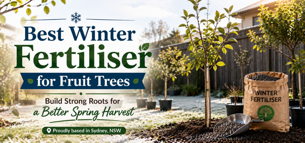 Winter Fertiliser for Fruit Trees