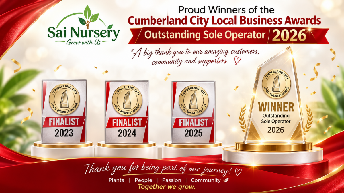 Sai Nursery started in Pendle Hill with the motto “Gardening is our passion”. Prime aim to start this nursery was to offer everyone well nurtured and rare plants at reasonable prices.
