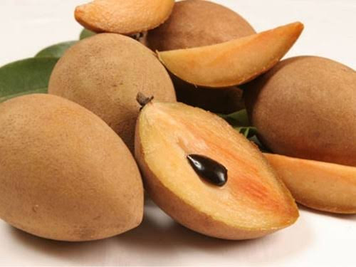 Sapodilla - Chickoo