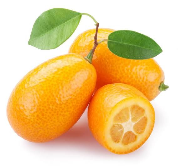 "Nagami" Kumquat