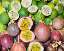Passionfruit Passiflora spp assorted varieties vine flowers fruit