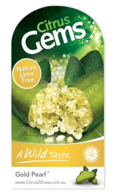 Finger lime Gold Pearl Citrus australasica golden caviar lime fruit
