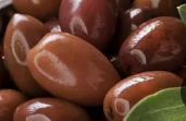 Olive Kalamata tree Olea europaea fruiting Mediterranean olive plant