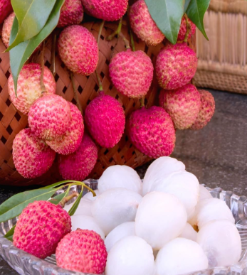 large, juicy, and aromatic fruit.