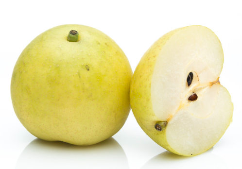 Nijisseiki nashi pear tree with round golden crisp fruits growing in Sydney Australia