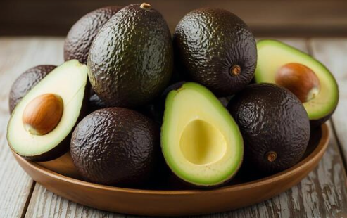 Hass avocado grafted plant Persea americana healthy nursery fruit tree