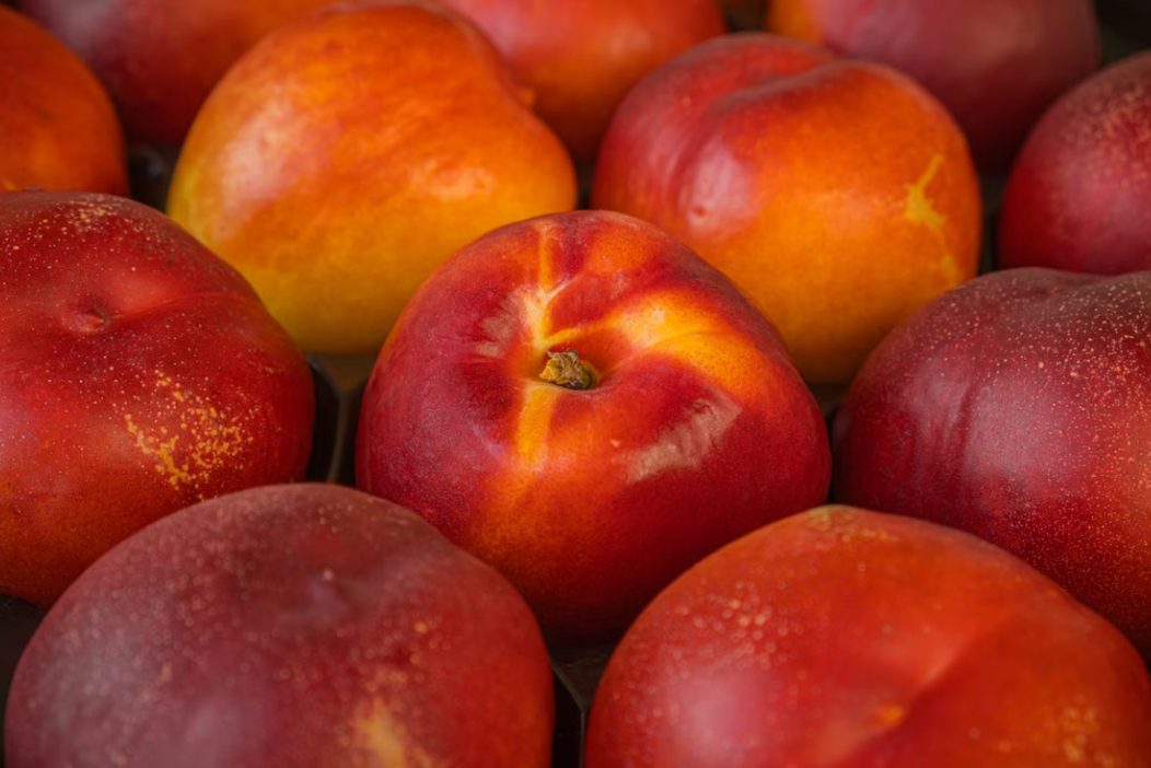 Queen Giant Nectarine tree and fruit at Sai Nursery Sydney