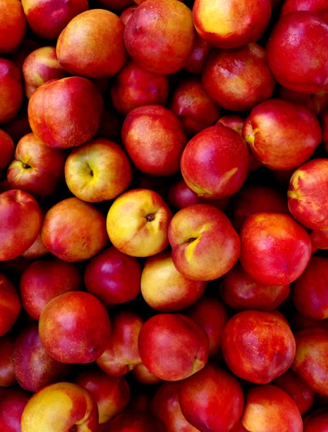 Grafted Sunraycer Nectarine tree for sale at Sai Nursery Sydney