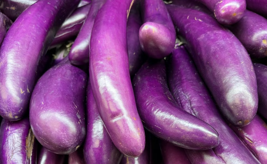 Violet Beauty Eggplant plant with purple eggplants at Sai Nursery Sydney