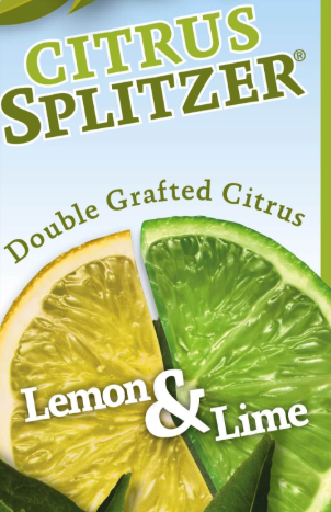 Fruit Salad Tree Lemon and Lime Citrus Splitzer with Meyer lemons and Tahiti limes