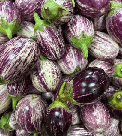 stria-indian-eggplant