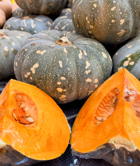 Healthy pumpkin seedling plant available at Sai Nursery