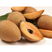 Manilkara zapota - Sweet