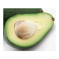 Compact Dwarf Avocado Tree – Ideal for Pots, Small Gardens & High-Yield Home Growing