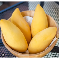 Smooth, fibreless flesh with rich flavour Ideal for Sydney and warm Australian climates