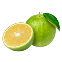 Produces juicy, mildly sweet citrus fruits perfect for fresh juice