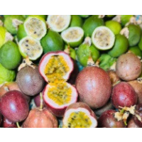 Fast-growing vines producing sweet tropical passionfruit varieties