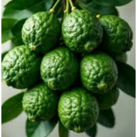 Highly aromatic sour limes ideal for cooking drinks