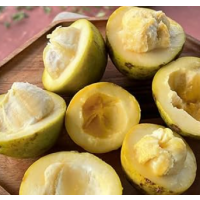 Creamy custard-like fruit with smooth tropical flavour