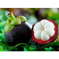 Tropical “Queen of Fruits” Tree