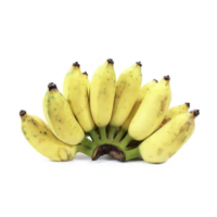 ompact High-Yield Banana Plant | Super Sweet Dessert Bananas | Ideal for Pots & Small Gardens