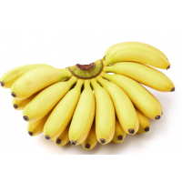 Compact High-Yield Banana Plant | Extra Sweet Lady Finger Bananas