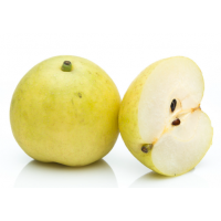 Crisp, Juicy Japanese Nashi Pear – Refreshingly Sweet Apple-Like Texture
