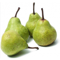 Classic Australian Pear – Sweet, Juicy & Adapted for Low Chill Climates