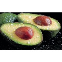 Premium High-Oil Avocado Variety – Creamy, Nutty Flavour & Excellent Yielding Tree