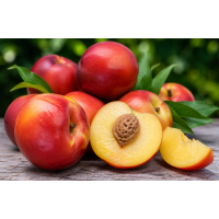 Sweet Juicy Yellow Flesh Nectarine Perfect for Sydney Gardens