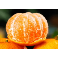 Premium Seedless Mandarin – Sweet, Juicy & Easy-Peel Citrus Variety