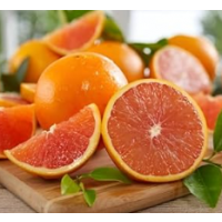Premium pink-fleshed navel orange variety