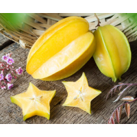 Advanced Karri Starfruit Grafted Tree – Averrhoa carambola | Premium Tropical Fruit Plant for High-Yield Home Gardens